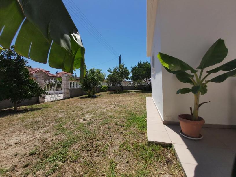 Konstantinos Apartments Ammoudia Exterior photo